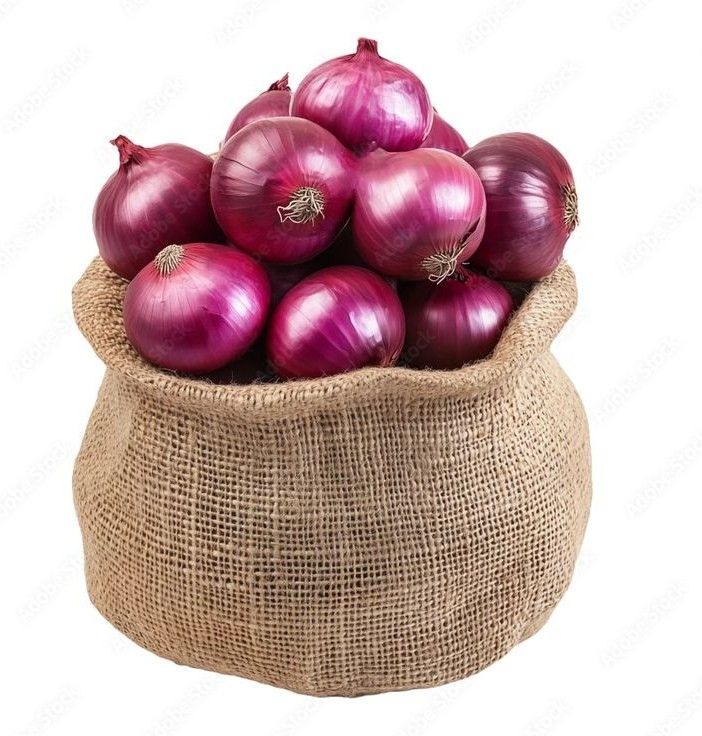 Fresh Onion Export